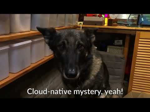 Bad YAML   21st Century Kubernetes Boy