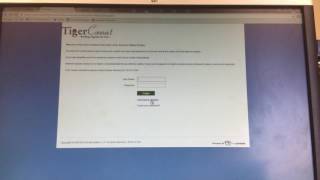 Tiger Connect Log-In Instruction