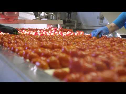 The Red Gold Fresh Pack Factory Tour