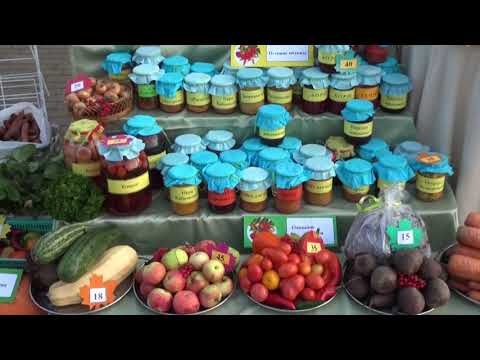 Сельскохозяйственная ярмарка - ко Дню пожилых