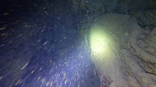 Thistlegorm | EGIPTO, MAR ROJO, THISTLEGORM PECIO -  Hurgada Marina Egypt foto 8