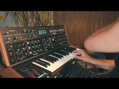 Sequential PRO 3: FIRST CONTACT