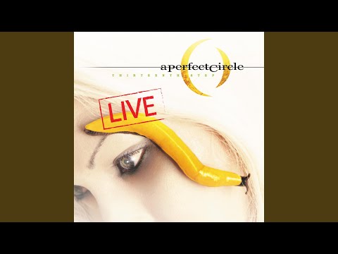 Video thumbnail for Lullaby (Live)
