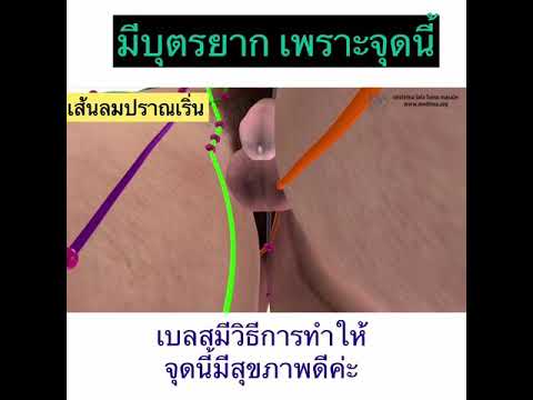 ที่เล็กที่สุดภาพถ่ายสมาชิก ธ อร์ค้อนสัญลักษณ์