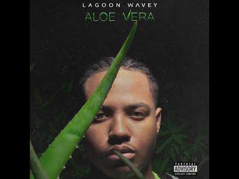 Lagoon Wavey - Aloe Vera