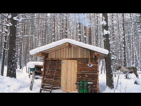 #11 Preparing My Forest Cabin for Winter. Warm Shelter Deep in the Woods.