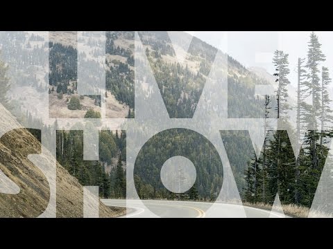 Photo Mish Mash Ep 53: Octopus Selfie