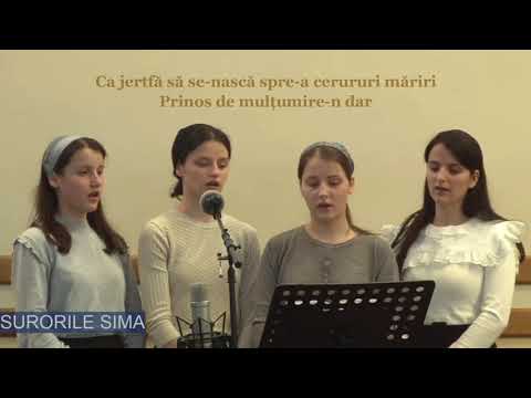 🔘 Surorile Sima - AI FOST CU NOI MEREU, ISUS PRIN ACEST GREU 🎶