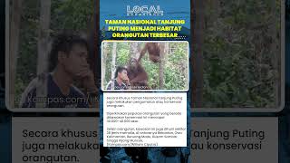 Camp Leakey sebagai Pusat Rehabilitasi dan Tempat Melihat Orangutan di Taman Nasional Tanjung Puting
