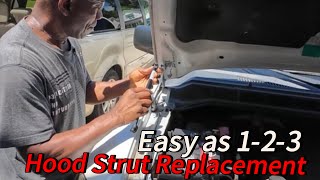 Easy as 123 Armada Hood Support Replacement