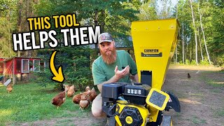 How I Turn Branches Into Gold for Our Homestead