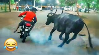 Download lagu Momen-momen Lucu & Konyol yang Akan Membuatmu Tertawa Sampai Perut Sakit π€£π₯ Kegagalan Lucu mp3 Download lagu Momen-momen Lucu & Konyol yang Akan Membuatmu Tertawa Sampai Perut Sakit π€£π₯ Kegagalan Lucu mp3