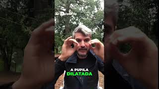 SE APRENDER A FAZER ISTO EM CASA NÃO PRECISA GASTAR