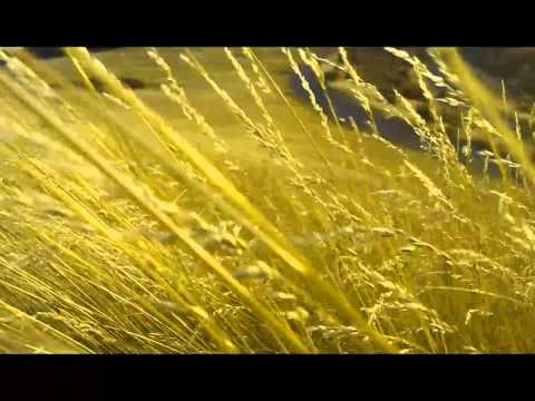 04 Jemand wie Du - Perlig & Zosch