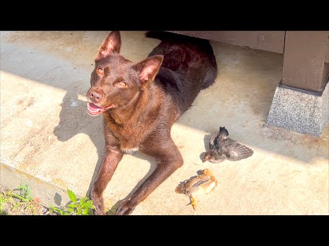 一体どうしたんだ！？