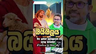 Download lagu 'බයිබලය' ඔය ඉන්නේ පුද්ගලයෙක් තුරුලු කරගන්න. ඒ මාංශගත වුනු වචනය ජේසු | Rev. Fr. Kalana Peiris mp3
