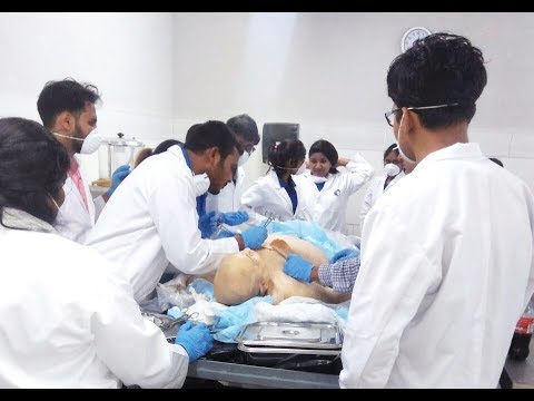 Live Dissection Part 2 Washington University of Barbados,School of Medicine