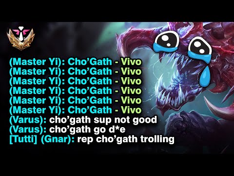 CHO’GATTO CURAME: IL PIÙ ODIATO DEL TEAM 😥