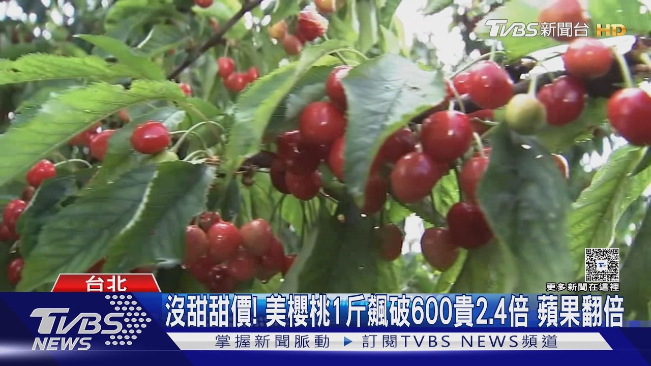 影音／美國櫻桃每台斤「飆破600元」貴2.4倍　蘋果、奇異果也漲翻