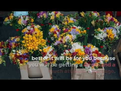 download lagu mp3 mp4 Flower Shop Mississauga, download lagu Flower Shop Mississauga gratis, unduh video klip Flower Shop Mississauga