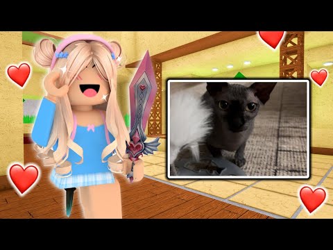 My CAT CONTROLS How I Play MM2...