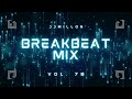 Breakbeat Mix 78 ✴️ 2024 🎛