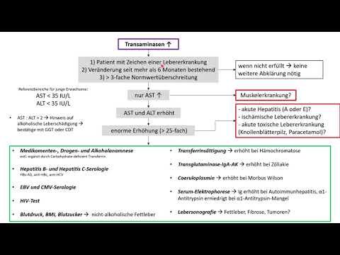 Auffällige Leberwerte - Abklärung erhöhter Transaminasen