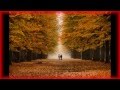 Five Iron Frenzy-Second Season