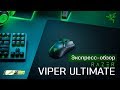 Razer RZ01-03050100-R3G1 - відео