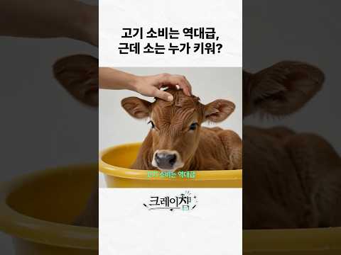 고기 소비는 역대급, 🥩근데 소는 누가 키워? l 연구보고서 R2025-06