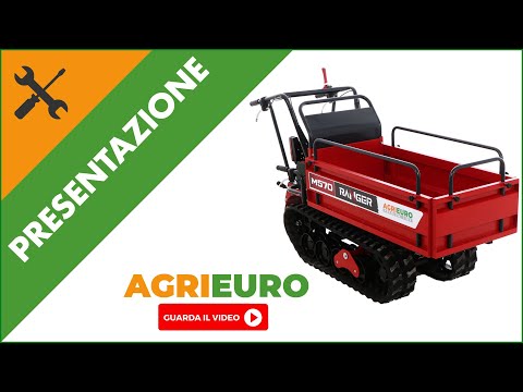 Motocarriola cingolata estensibile RANGER M570-E - Motore Honda GX200: presentazione