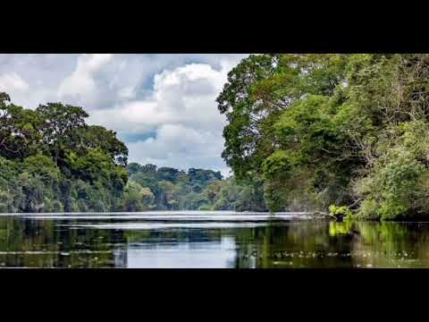 Prisca ALONG- G'éliwa