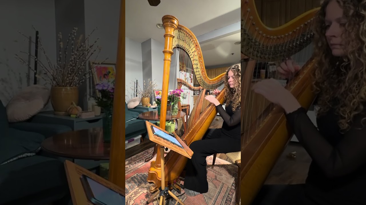 Promotional video thumbnail 9 for Pamela Bruce