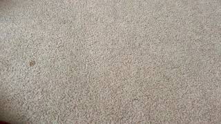 Download lagu CD update mp3