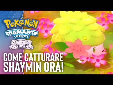 Come catturare SHAYMIN in Pokémon Diamante Lucente e Perla Splendente