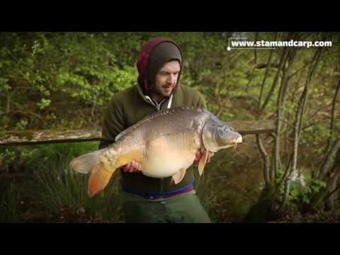 3 days in April on St Amand Carp