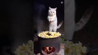 #ai🐈️#可愛い猫動画☕🥗#lovestory💛💚🩵