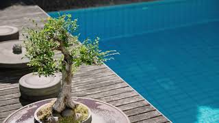 Harmonic Guitar - Brian Eno, RAMS Soundtrack