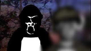 I Tested 5 STAR Ghost Codes in Gorilla Tag…