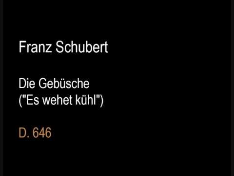 Schubert D646 Die Gebüsche (Es wehet kühl).wmv