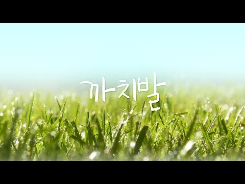 [까치발] 메인 예고편 예고편