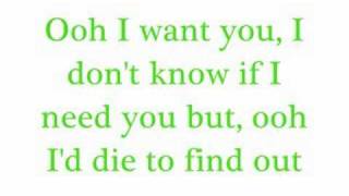 I Want You-Savage Garden with lyrics