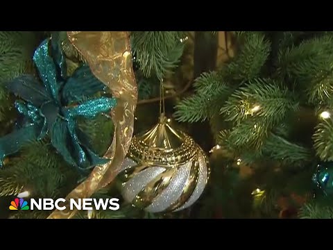 Tariffs, economic pressures raise prices on holiday decorations