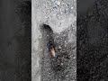 Proses Pembuatan Sarang Kumbang Tanah
