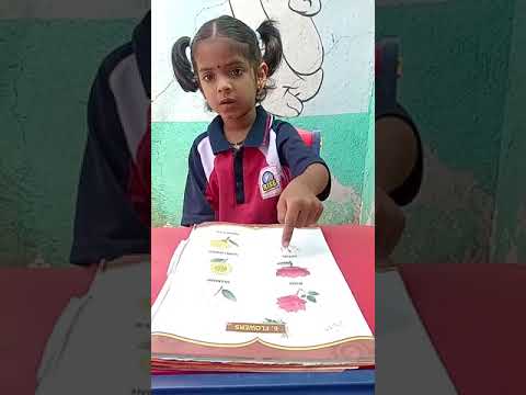 Sahithi | Flowers Identification | Rise International School Kakinada.