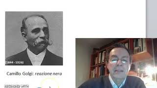 Introducción al estudio histológico del sistema nervioso