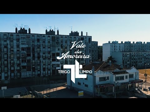 Trigo Limpo- Tudo Pela Crew (Audiomotion)