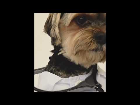 no views @youtube why