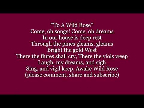 TO A WILD ROSE 🌹MacDowell Original Lyrics Words text trending 1896 sing along song music