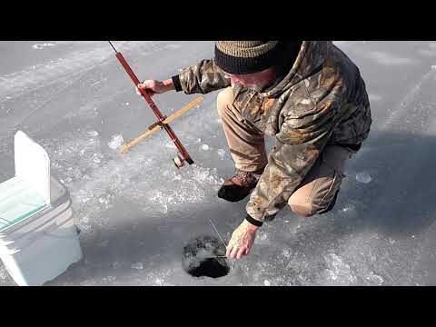 Queen Lake Philipston Ma 1/27/2018